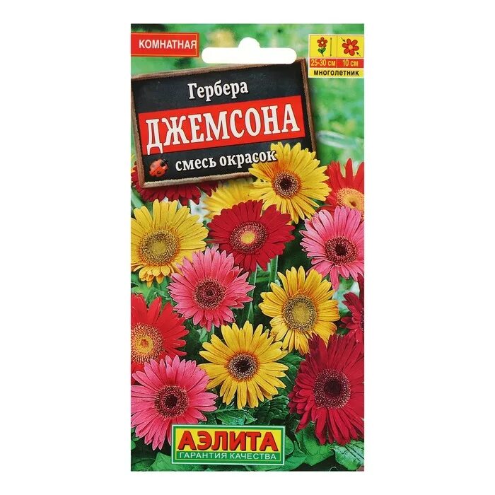 Гербера джемсона смесь. Гербера джемсона гибрид смесь. Гербера джемсона смесь сортов. Герберы джемсона цветы. Гербера джемсона цветок.