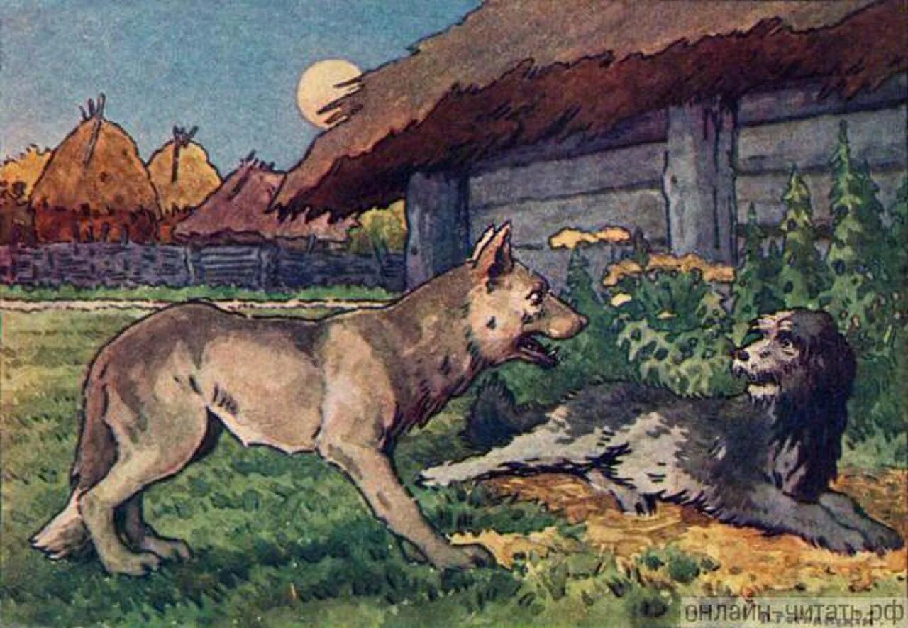 Волк и собака книга. Волк и собака толстой. Книги про волков для детей. Л н толстой собака и волк. Волк и собака ушинский.