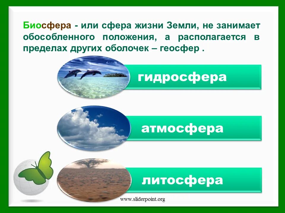 Органический мир нашей планеты подразделяется на. Biosefera. Биосфера. Биосфера земли. Биосфера это в экологии.