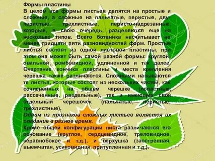 Листья осенью какие прилагательные