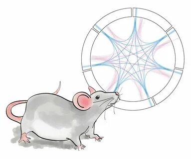 That mouse