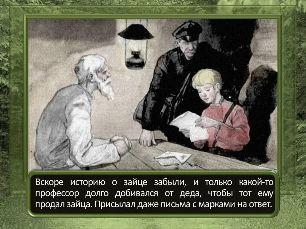 К. Паустовский "заячьи лапы". Паустовский заячьи лапы иллюстрации. Вскоре историю а зайце забыли. Дед заячьи лапы.