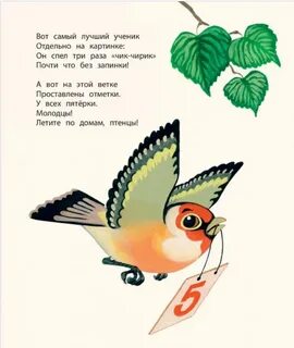 Птица школа читать