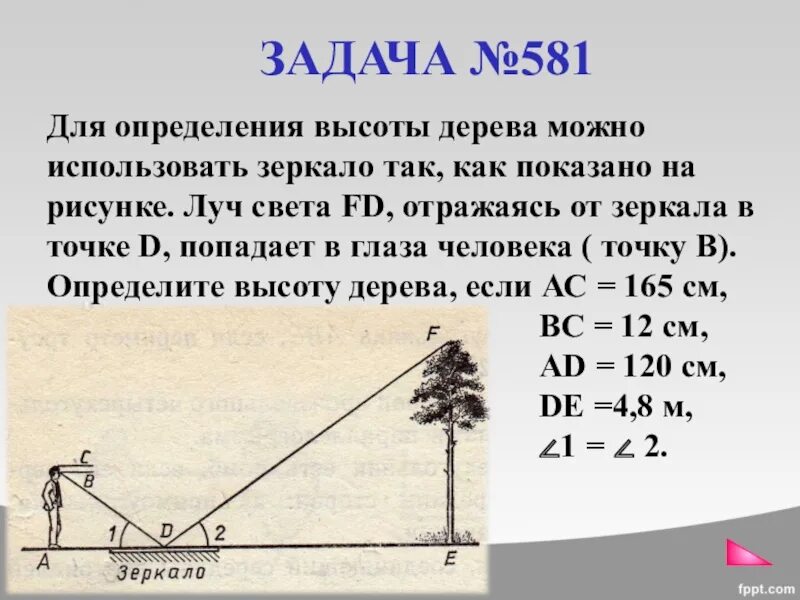 Измерение высоты дерева. Измерение высоты предмета с помощью зеркала. Как определить высоту дерева с помощью зеркала. Определить высоту дерева. Она смогла вычислить местоположение снайпера по зеркальцу