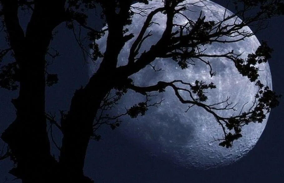 Ночное небо с луной. Луна висит на небе. Луна висит на небе. Луна и звезды. Луна висит на небе.