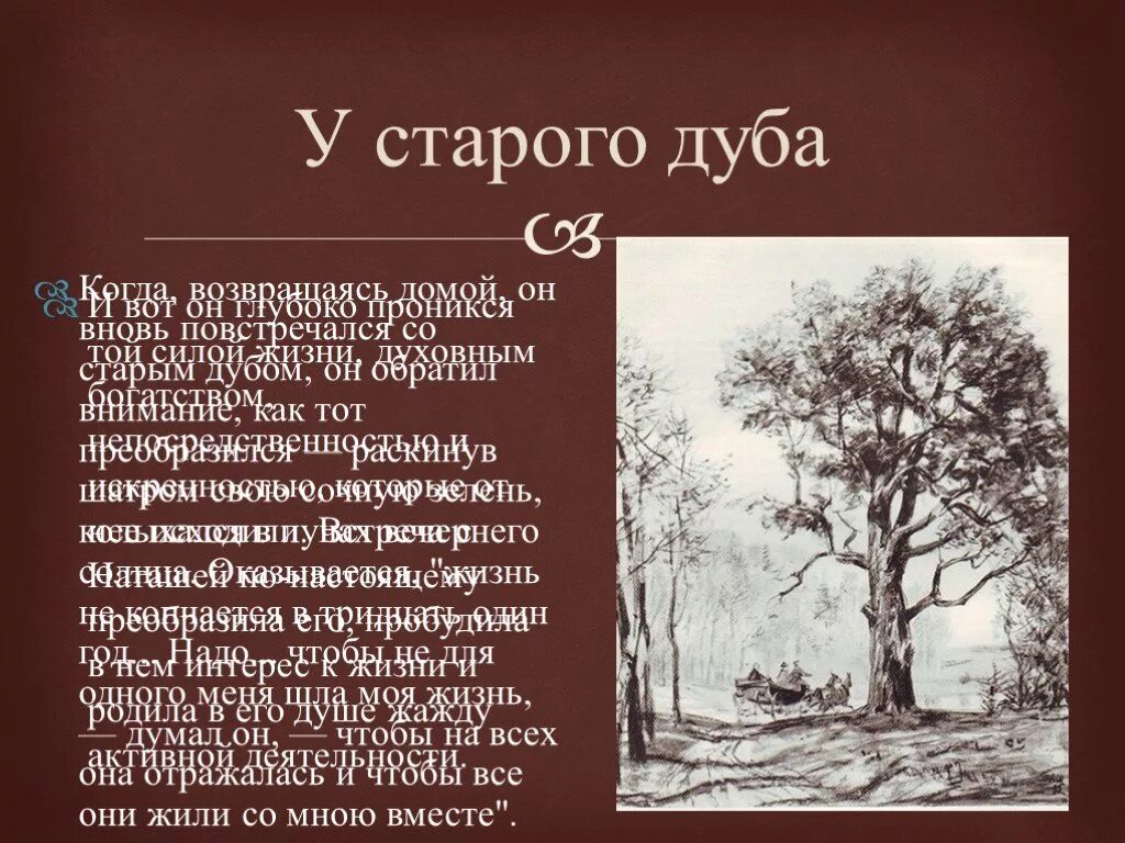 Старый дуб болконский. Встреча с дубом отрывок.