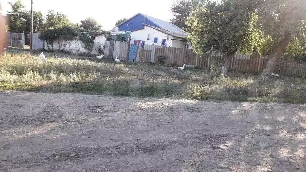 Озеро малый лиман. Хутор балабинка. Маныч балабинка ростовская область. Погода среднем маныче веселовского. Погода среднем маныче веселовского.