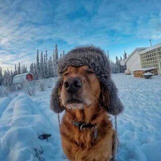 Сегодня на земле похолодало