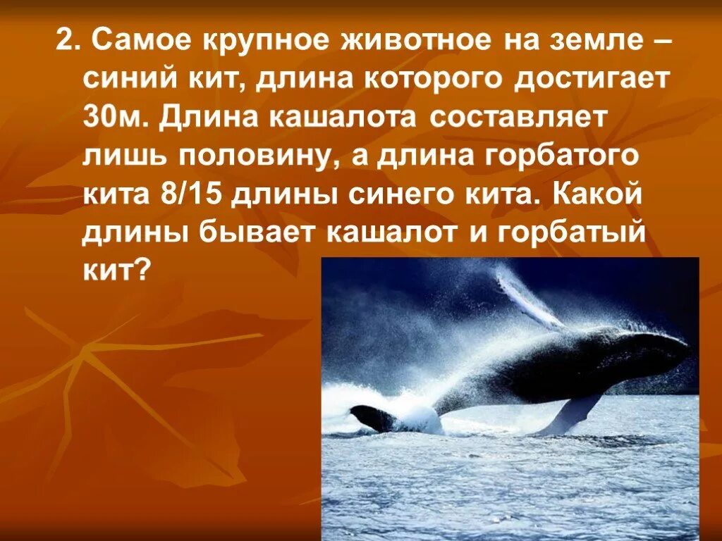 Самое большое животное на земле голубой кит. Синий кит длина. Какой длины синий кит. Масса синего кита достигает