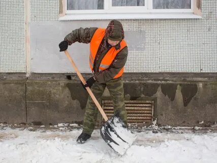 Дворник в школу