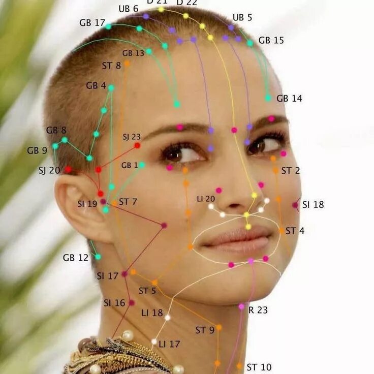 Биологически активные точки. Акупунктура меридианы китайская медицина. Активные точки акупунктура. Китайская Акупрессура атлас точек. Шиатсу меридианы.