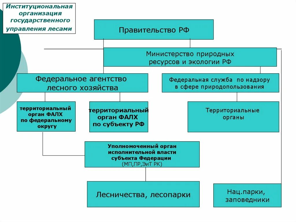 Органов государственного экологического управления. Система государственного управления лесами. Организация государственного управления в сфере природных ресурсов. Органы управления природными ресурсами. Структура государственного управления лесами в субъектах РФ.