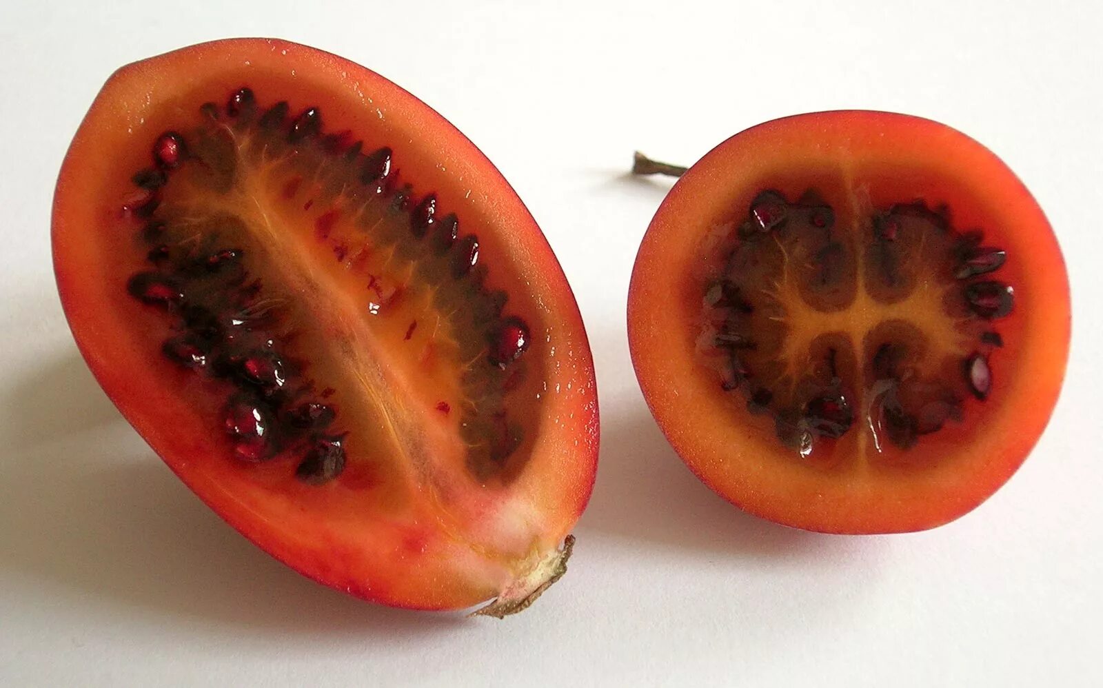 Экзотические томаты. Плод Тамарилло. Цифомандра Тамарилло. Тамарилло фрукт вкус. Цифомандра Антарес (томатное дерево).