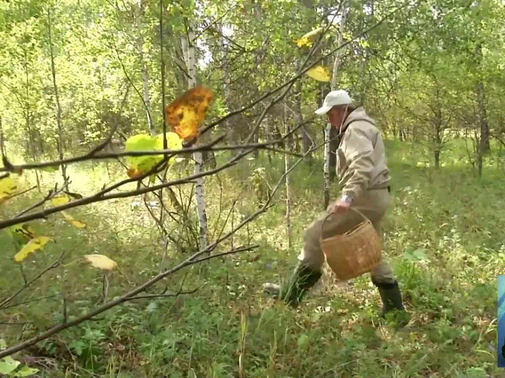 Приложение чтобы не потеряться в лесу