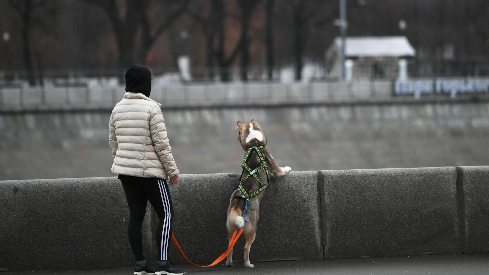 Когда придёт тепло в Москву. Когда вернётся тепло в Москву. 8 - Мартовская суета на улице. Когда придет тепло в россии