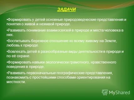 Формирование и закрепление единичных понятий