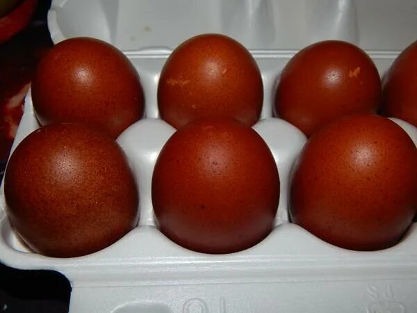Маран куры яйца. Маран черно медный яйца. Яйцо Марана инкубационное. Маран голубое серебро.