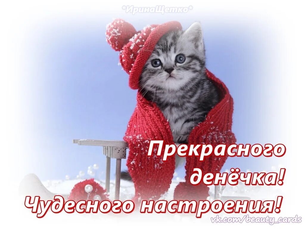 Картинки доброго февральского дня и прекрасного настроения. Доброго зимнего дня. Чудесного зимнего дня. С добрым зимним днем и отличного настроения. Чудесного зимнего дня и отличного настроения.