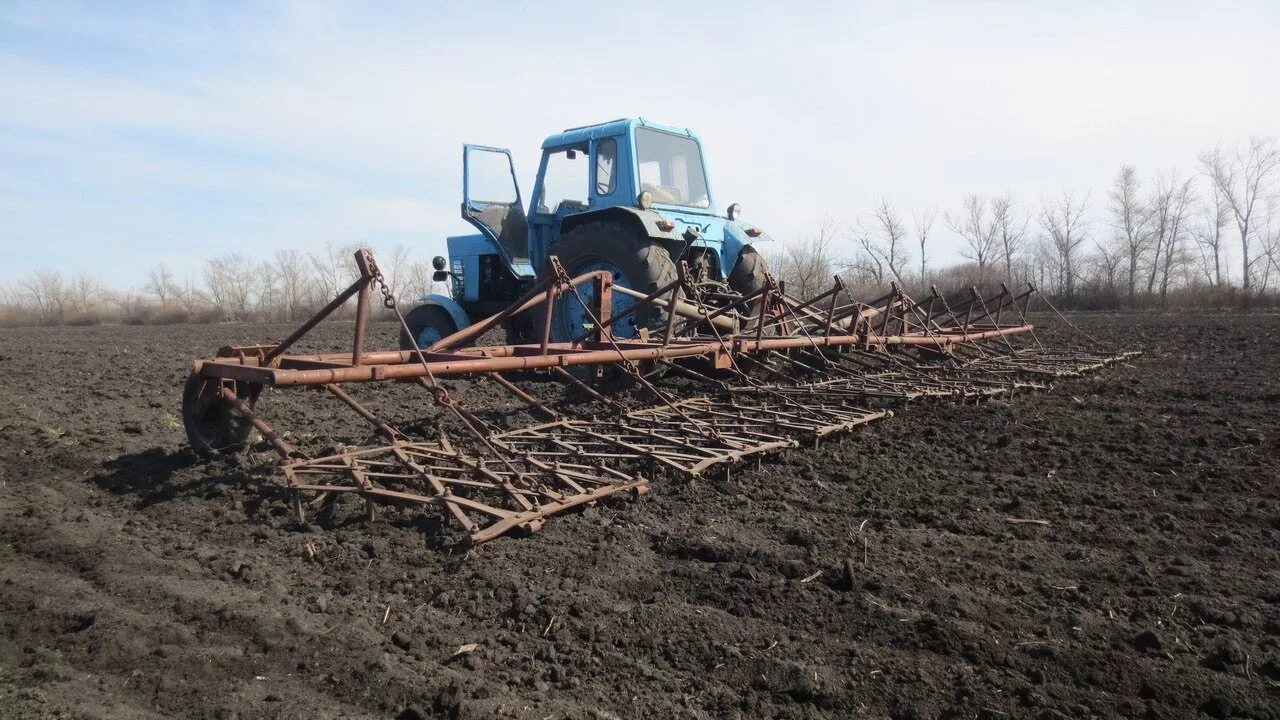 Самодельные поля. Боронование МТЗ 80. Боронование на МТЗ 82. МТЗ 80 боронование зяби. Навесной бороновальный сцеп МТЗ 80.