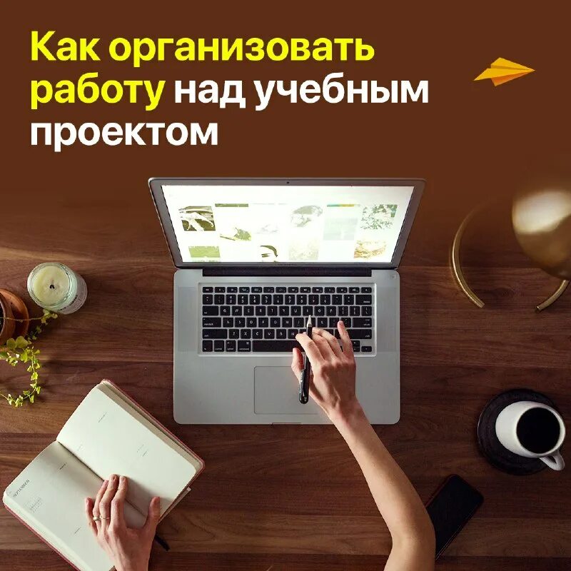 Как можно организовать работу. Люди в офисе. Как можно организовать работу. Офисный сотрудник. Логист.