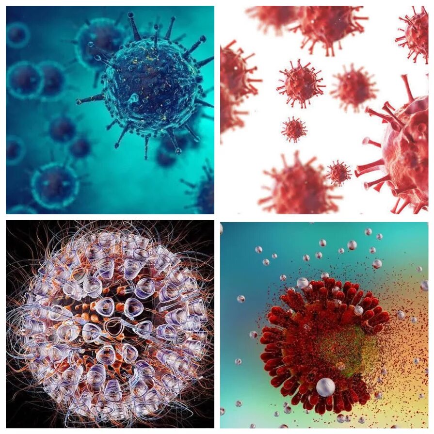 Вирус коронавирус. Необычные вирусы. Современные вирусы. Опасные вирусы в мире