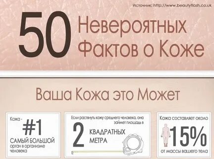 6 интересных фактов