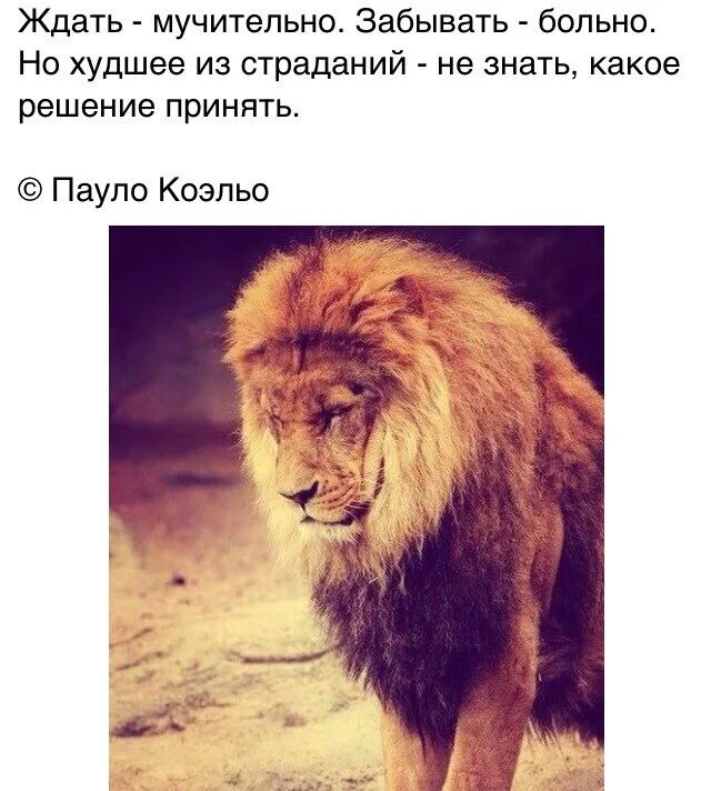 Терпение цитаты. Плод терпения сладок. Плоды терпения слаще меда ислам. Терпение горько но плод его сладок. Терпение горько на вкус.