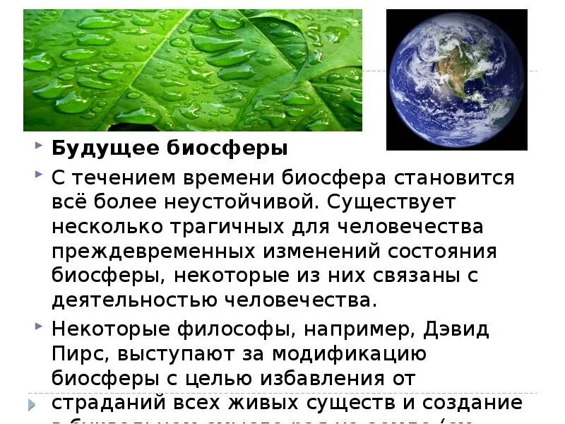 Биосфера. Биосфера презентация. Экология,Биосфера,человек. Презентация на тему человек и Биосфера.