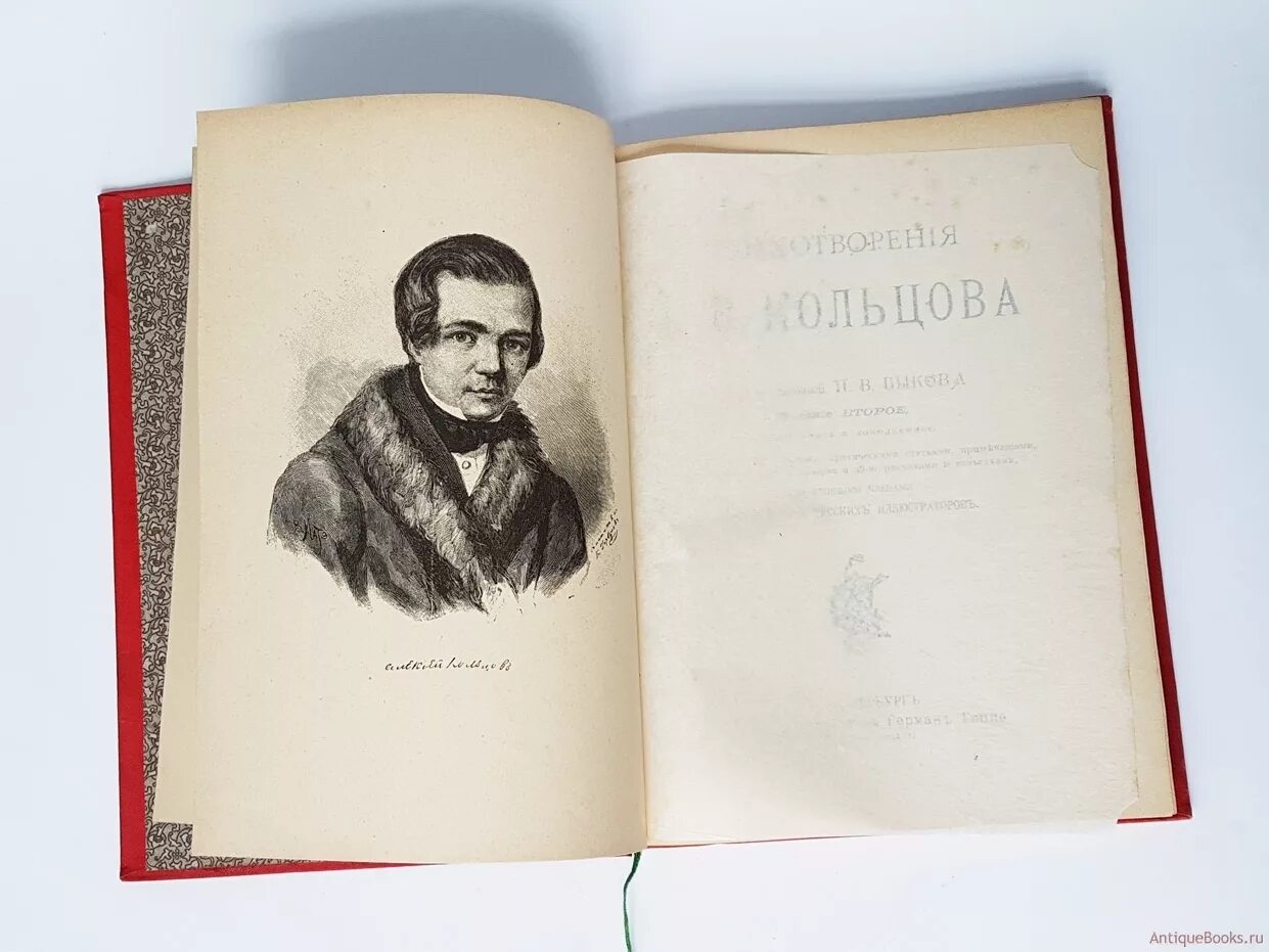 Читать книгу кольцова игоря. Портрет Кольцова. Кольцов портрет писателя.