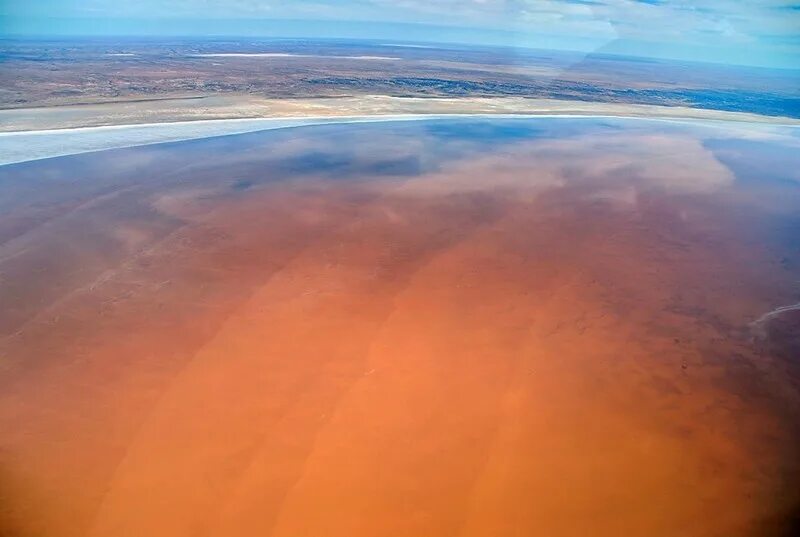 Озеро Эйр Норт. Эйр Норт Австралия. Река Эйр Норт в Австралии. Сухие озера Австралии. Озеро эйр находится в