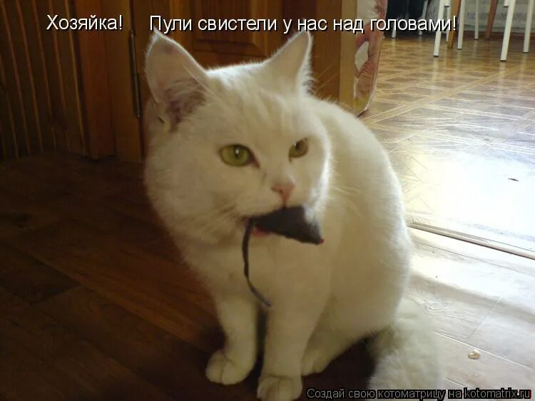 хозяйка пули свистели у нас над головой. пули свистели над головой хозяйка. пули свистели над головой. фунтик пули свистели над головой. пули свистели над головой.