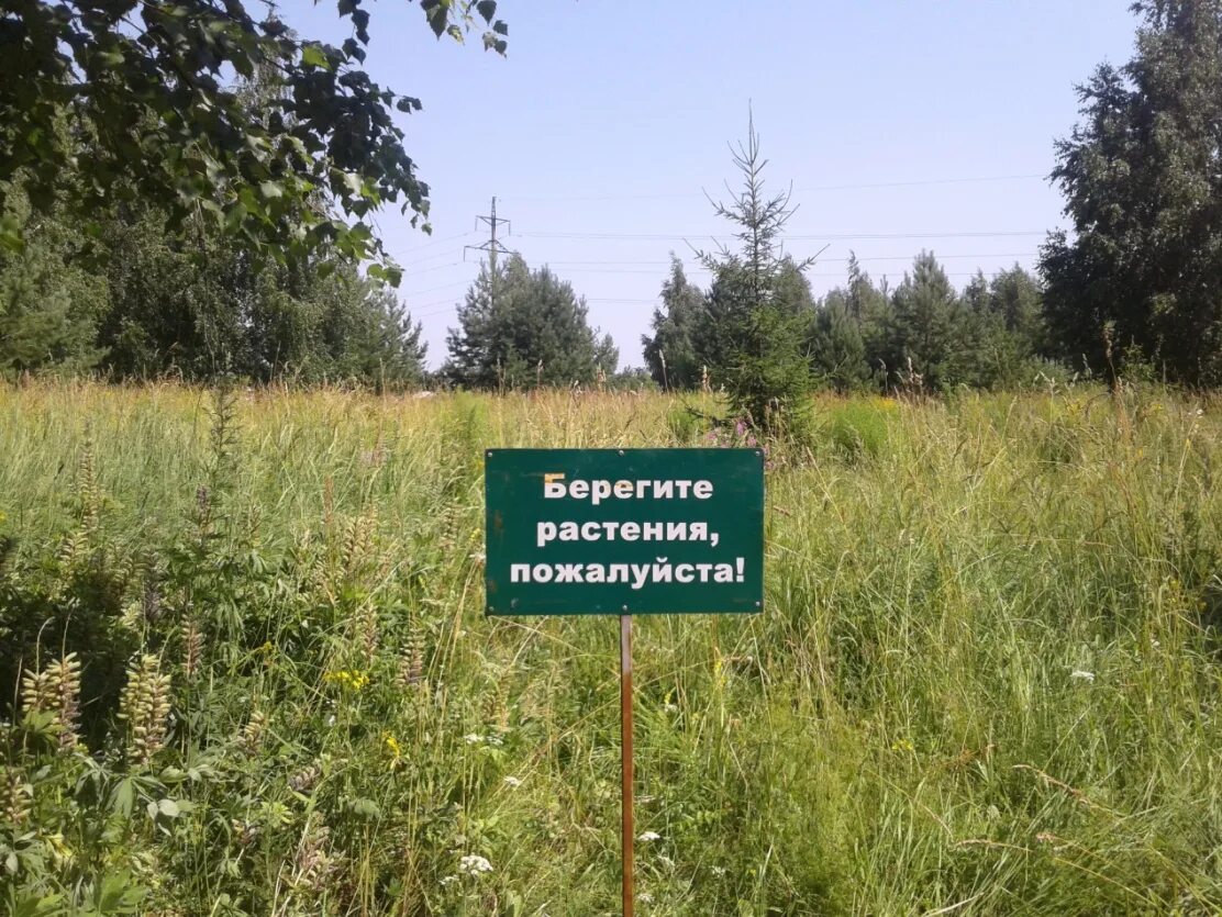 особо охраняемые земли местного значения. особоохраняяемы природные территории. особо охраняемые территории классификация. оопт местного значения. оопт местного значения.