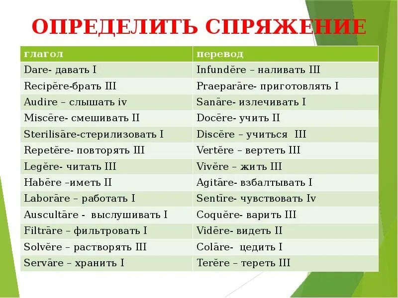 Спряжение глаголов в латинском языке. Спряжения в латинском языке. спряжения латынь. основа спряжений в латинском языке.