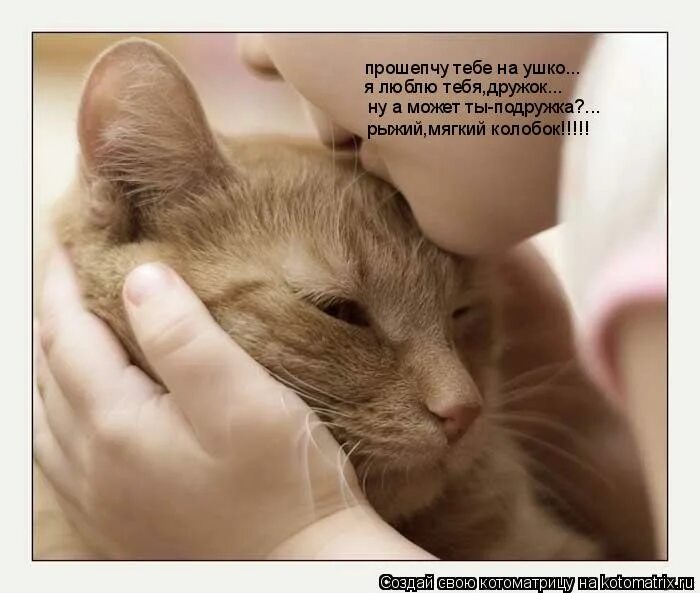 Открытка с о крытой душой. Здоровья и благополучия вашей семье. Надпись с прощенным воскресеньем. Живите счастливо цитаты. Пусть мочь.