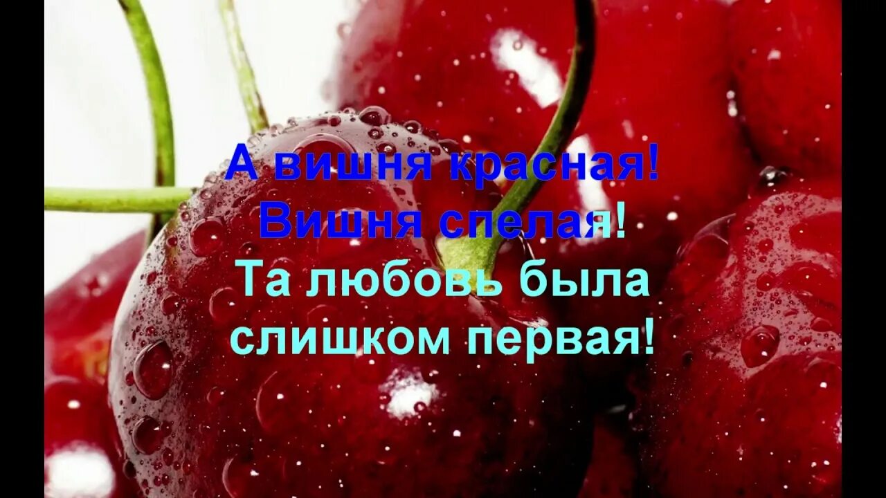 Песня вишня алая спелая текст. Зимняя вишня караоке. Зимняя вишня текст. Вишня зимняя вишня текст. Зимняя вишня текст караоке.