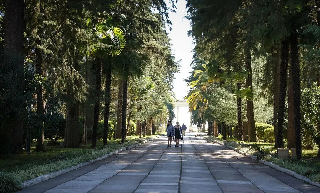 МВО Сухум. МВО-Сухум санаторий Абхазия. Сухуми военный санаторий. Пансионат Бриз в Сухум.