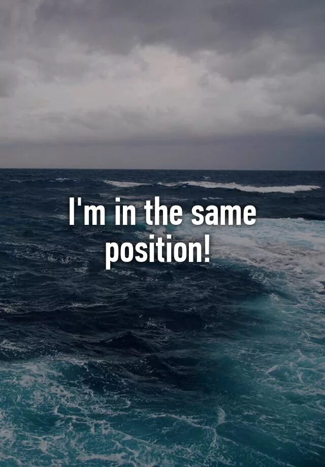 We can see a ant или an. Английский 1 класс. I see мем. I cannot see мемы. Открыивй урок 2 класс i can ser.