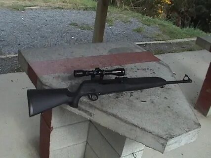 Сайга 100