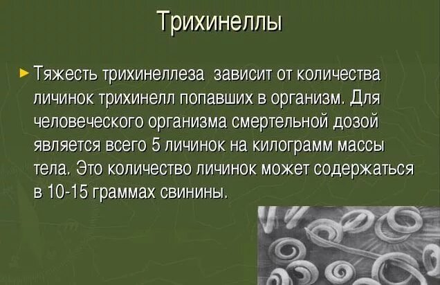 Трихинелла диагностика. Трихинелла меры профилактики. Трихинелла паразитирует. Трихинелла диагностика. Трихинелла лабораторная диагностика.