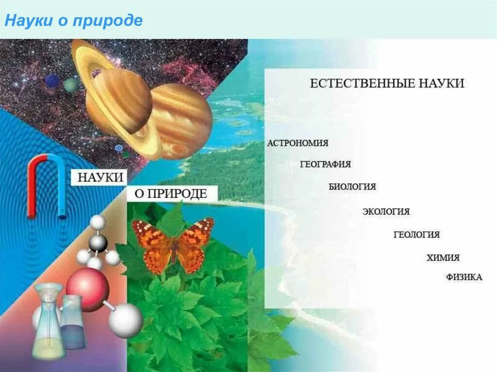 Науки о природе. Естествознание наука о природе. Презентация по естествознанию. Естественные науки это науки о природе. Естественно научные предметы 7 класс