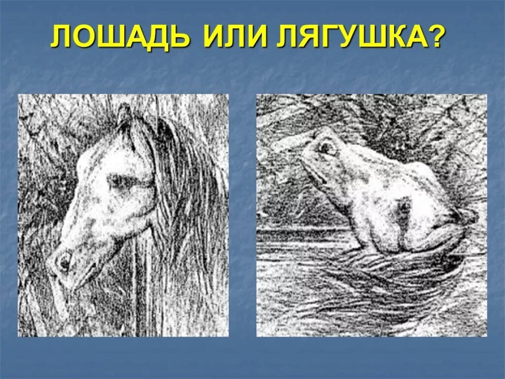 Как найти лошадь. Иллюзия лягушка или лошадь. иллюзия с лошадью. оптические иллюзии лошадь лягушка. оптические иллюзии с изображением лошадей.
