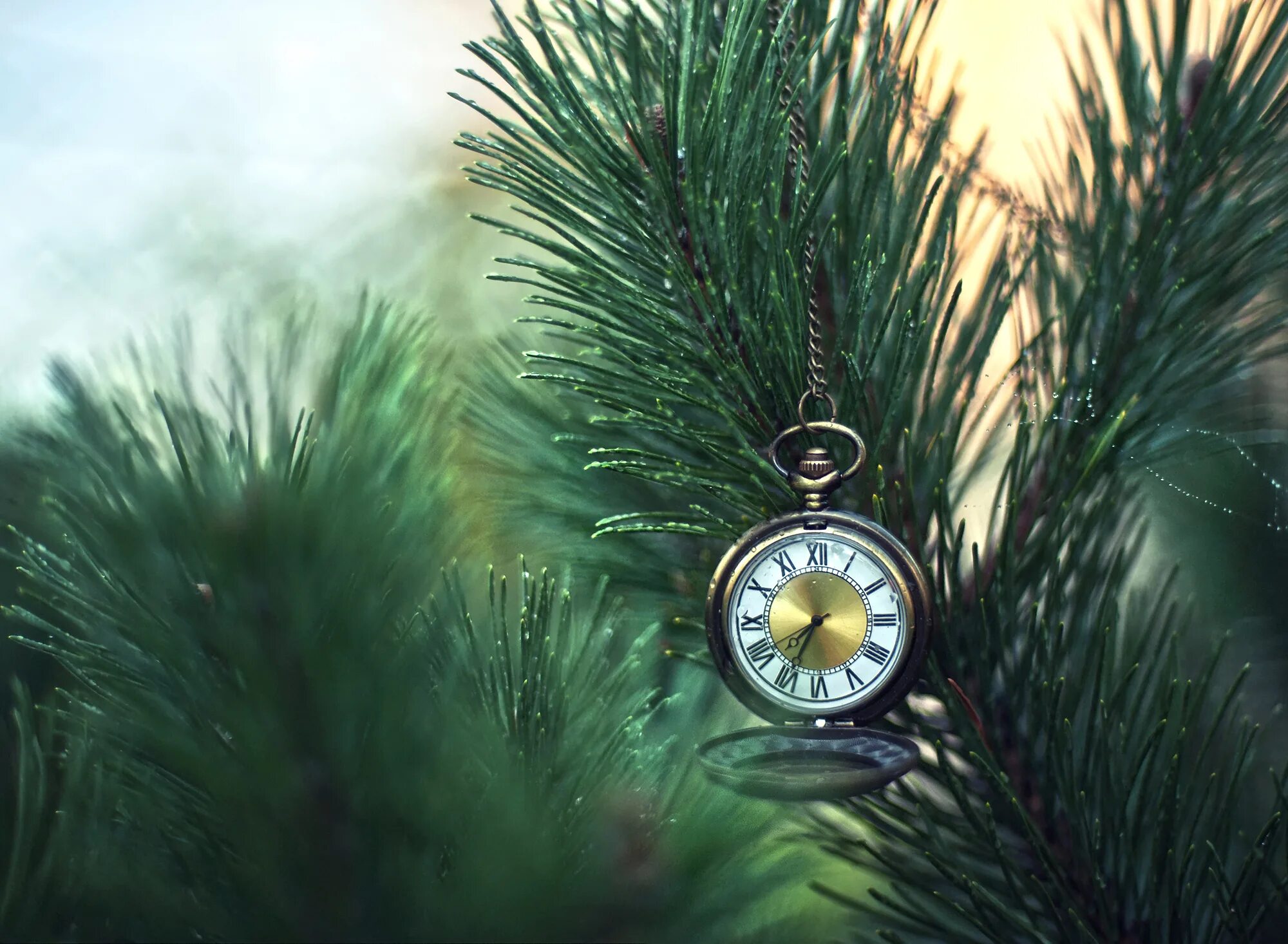 Старинные новогодние часы. Часы венок новогодние. Подарочные композиции с новогодним венком. Час елки. Новогодние часы поделка на новый год.