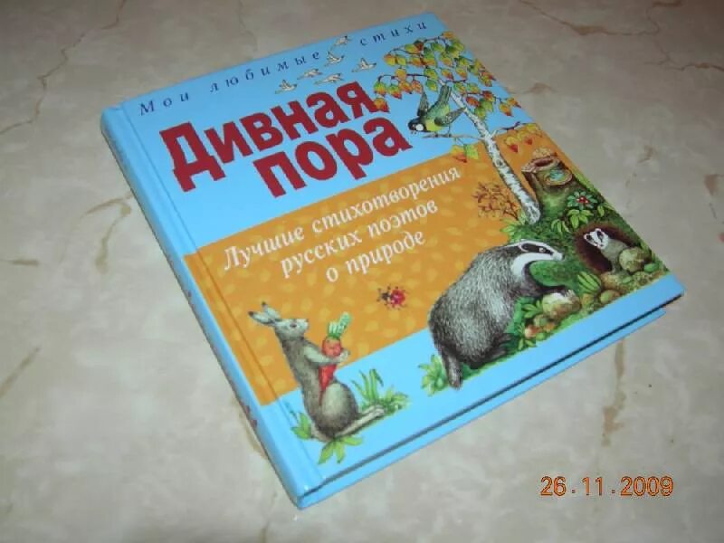 Составьте список книг которыми можно дополнить выставку. Дивная пора лучшие стихотворения русских поэтов о природе. книга дивная пора лучшие стихотворения русских поэтов о природе. тема выставки стихотворения русских поэтов об осени. тема выставки стихотворения русских поэтов об осени 2 класс.
