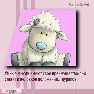 Дурак мысли