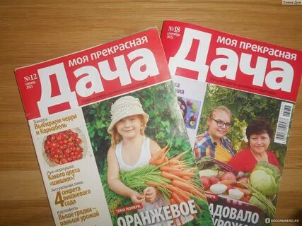 Журнал дача