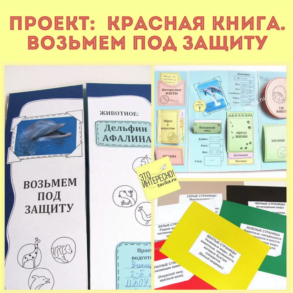 Сделать красную книгу своими руками 2 класс. Проект красная книга 2 класс. проект возьмем под защиту. как сделать проект красная книга. красная книга возьмем под защиту.