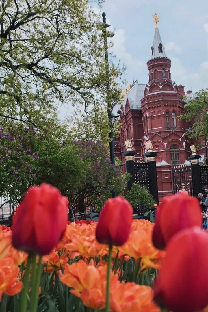Москва весной. Москва в мае. Прогулка по весенней Москве. Цветущий город. Красивые места в москве весной