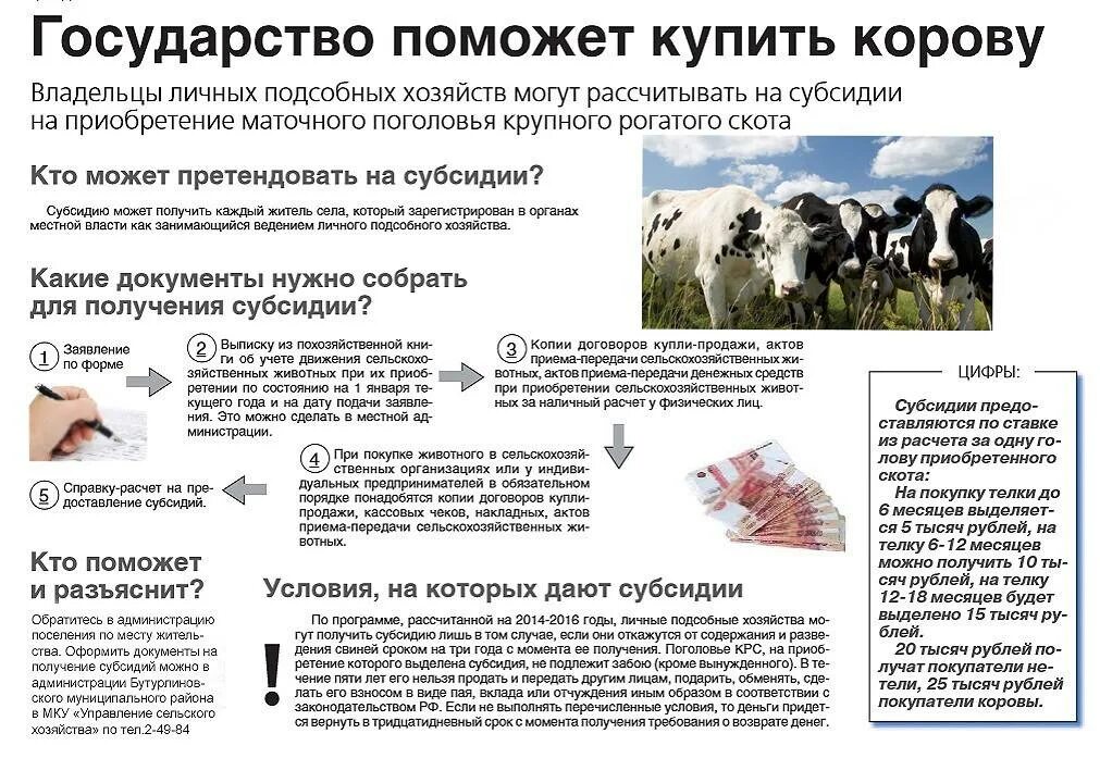 Развитие личного подсобного хозяйства документы. План ведения личного подсобного хозяйства. План развития личного подсобного хозяйства. Поддержка государства для подсобного хозяйства