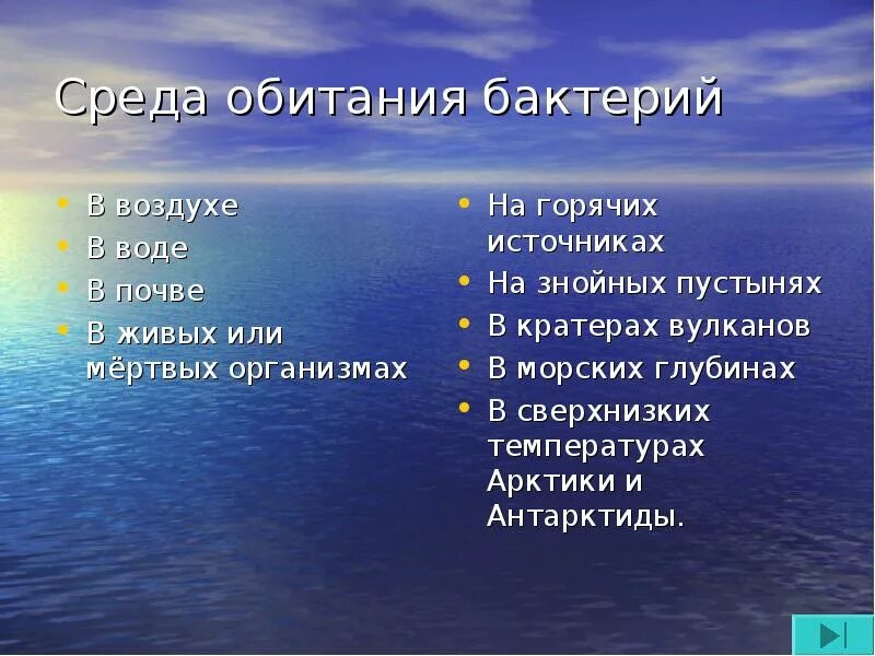 Местообитание бактерий. Место обитания бактерий. Место обитания бациллы. Среда обитания бактерий. Обитание бактерий.