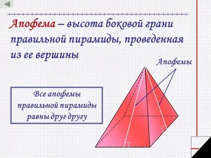 Апофемой пирамиды называется